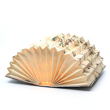 LAD Accordion Book Lamp - Planisphere