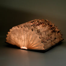 LAD Accordion Book Lamp - Planisphere